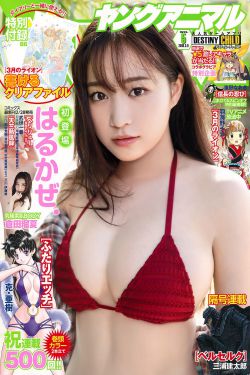 班级的公共玩具李李翔