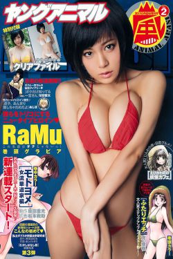 新点软件